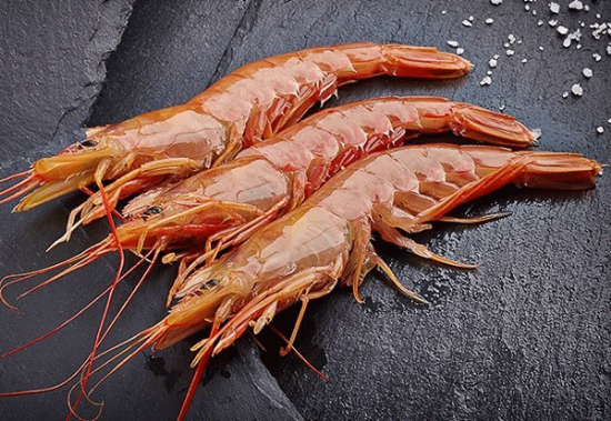 Foto de Gambón Argentino