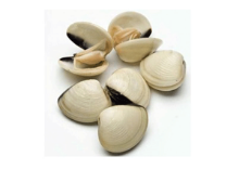 Foto de Almeja Blanca 60/80.