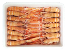 Foto de Cigalas Nº  0