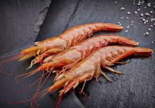 Foto de Gambón Argentino Nº 2 Olivos