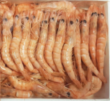 Foto de Langostino Cocido 50/60 GG