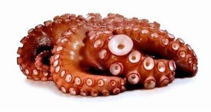 Foto de Pulpo Bandeja 0 (3/4kg.)