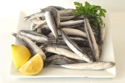 Foto de Boquerón Bolsa 50-55 pzas/kg.