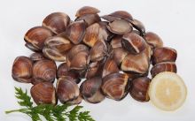 Foto de Almeja Marrón 60/80