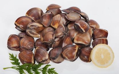 Foto de Almeja Marrón 60/80