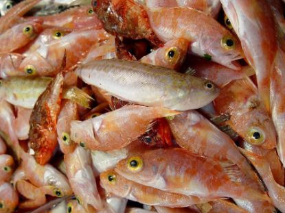 Foto de Morralla de Playa Congelada