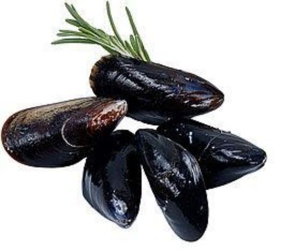 Foto de Mejillón Entero Jugosón Gallego