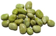 Foto de Habas Gordas