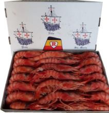 Foto de Gamba Roja A3 Carabelas