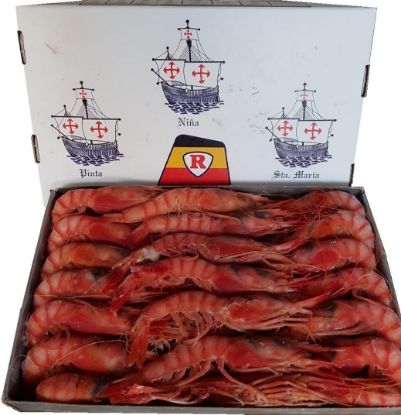 Foto de Gamba Roja A3 Carabelas