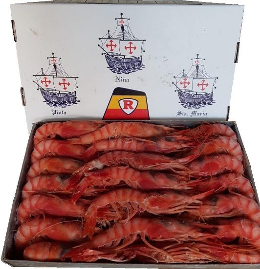 Foto de Gamba Roja A3 Carabelas