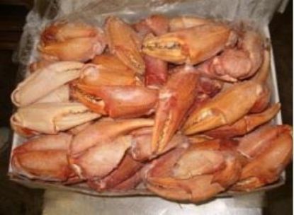 Foto de Cangrejo Boca  XXL Gran Sol (+180gr.)