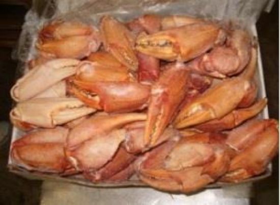 Foto de Cangrejo Boca  XXL Gran Sol (+180gr.)