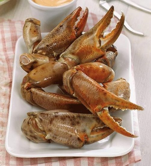 Foto de Cangrejo Boca  XL Namibia