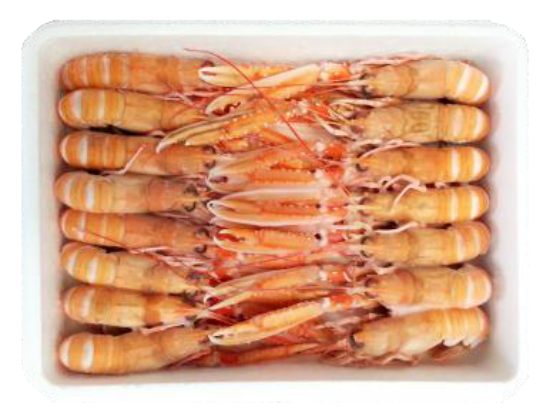 Foto de Cigalas Nº 1