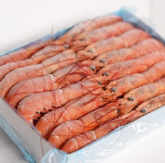 Foto de Gambón Argentino 2 COOKE Abordo