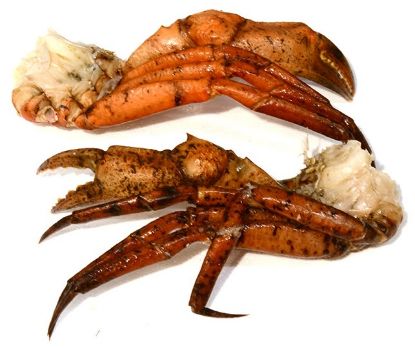 Foto de CANGREJO BOCAS