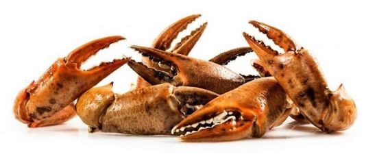 Foto de Cangrejo Boca  XXL Gran Sol (+180gr.)