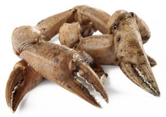 Foto de Cangrejo Boca  XL Gran Sol (160/180gr.)