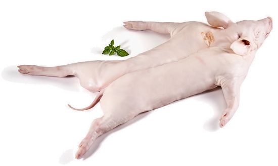 Foto de Cochinillo Tabladillo 4-5 kg./pza.