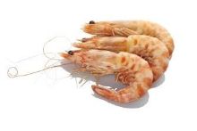 Foto de Langostino Cocido 50/60 GG